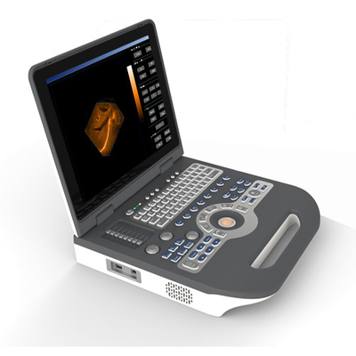 Eco Medical 4D Renkli Ultrason Dijital Taşınabilir Ultrasonografi Makinesi