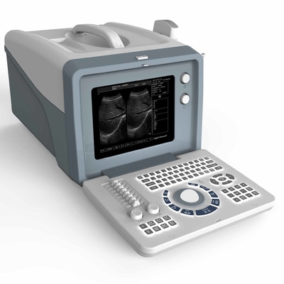 FSC 3D 4D MSK Taşınabilir Ultrason Makineleri Trans Vigianl Tarama