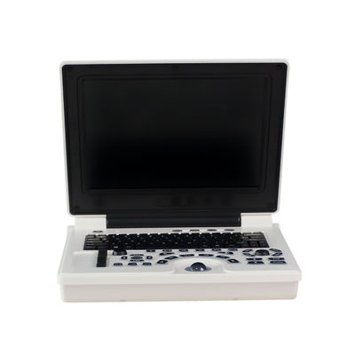 Kalite  Clinic Doppler Portable Veterinary Ultrasound Machine Li Battery For Dog fabrika