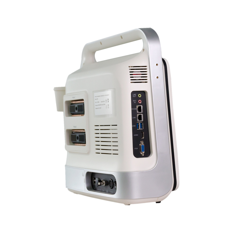 Xianfeng 4D Taşınabilir Veteriner Ultrason Makinesi keçi atı için Gerçek Zamanlı