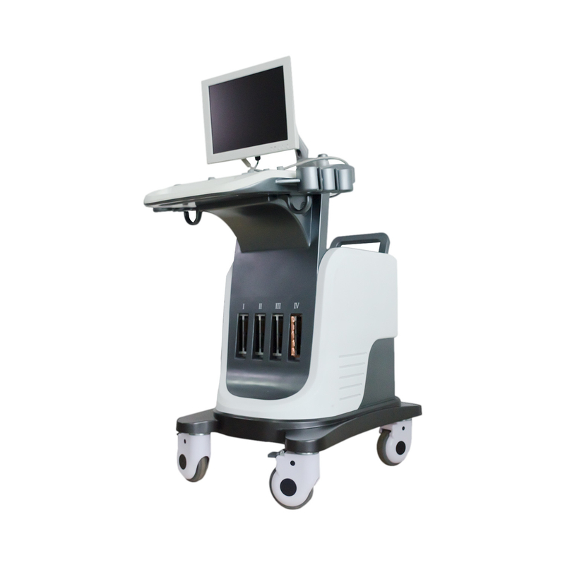 BPW Mobil Dijital Renkli Doppler Ultrason Sistemi 15 inç LED Ekran