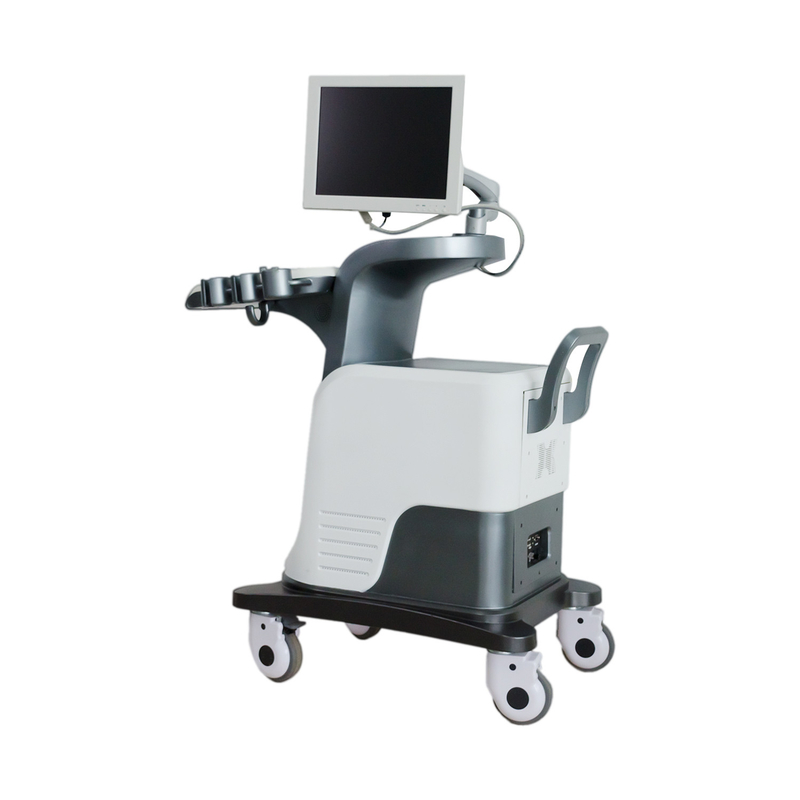 BPW Mobil Dijital Renkli Doppler Ultrason Sistemi 15 inç LED Ekran