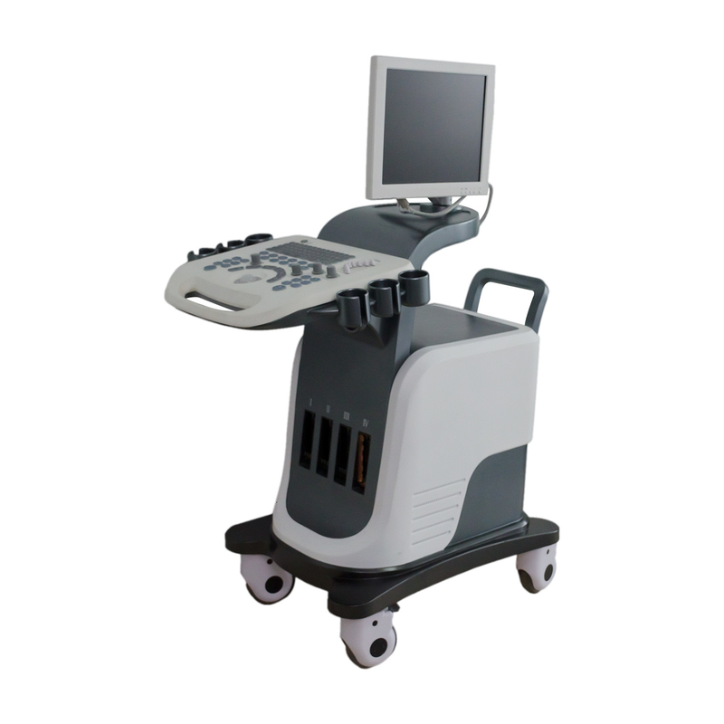 BPW Mobil Dijital Renkli Doppler Ultrason Sistemi 15 inç LED Ekran