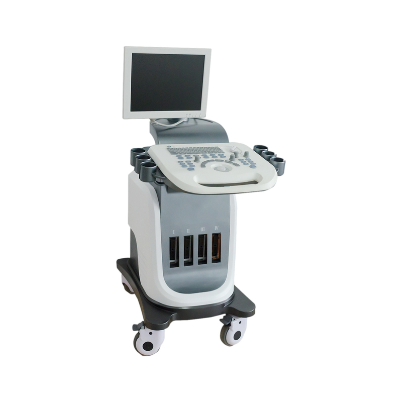 BPW Mobil Dijital Renkli Doppler Ultrason Sistemi 15 inç LED Ekran