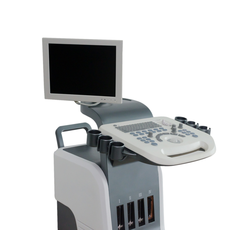 BPW Mobil Dijital Renkli Doppler Ultrason Sistemi 15 inç LED Ekran